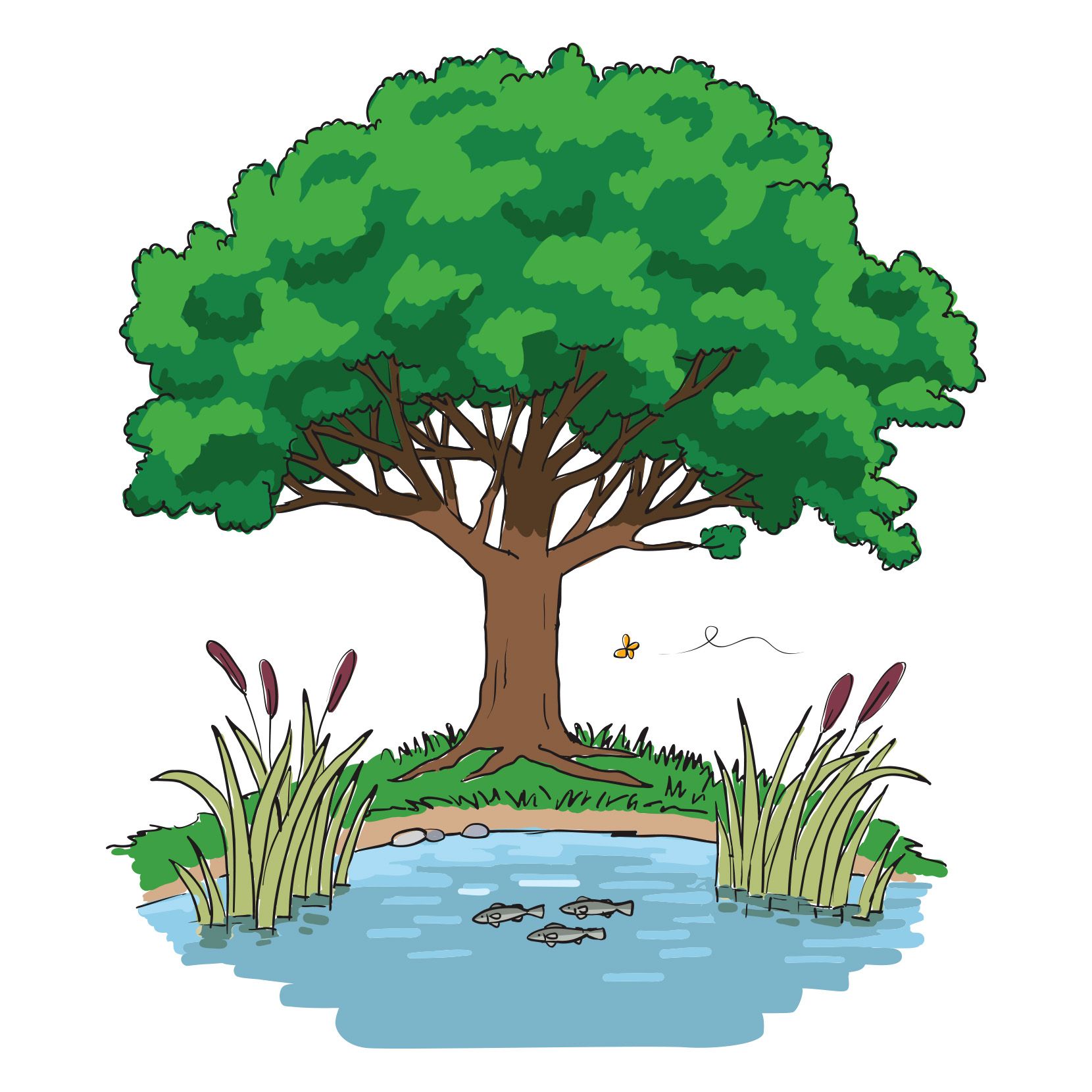 Bild der Somaha Stiftung: Zeichnung von einem Laubbaum am Wasser, in dem Fische schwimmen und Uferpflanzen wachsen.